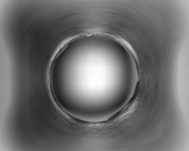 X0000099931389200805231221