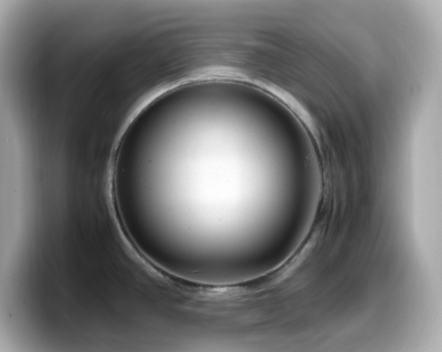X0000099931390200805231221