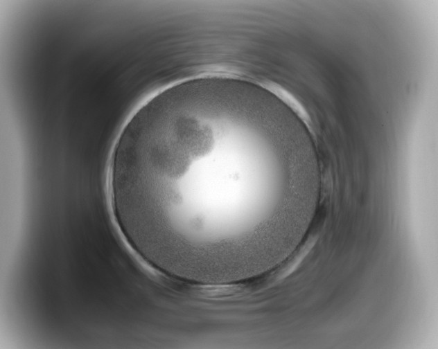 X0000099931391200805231221