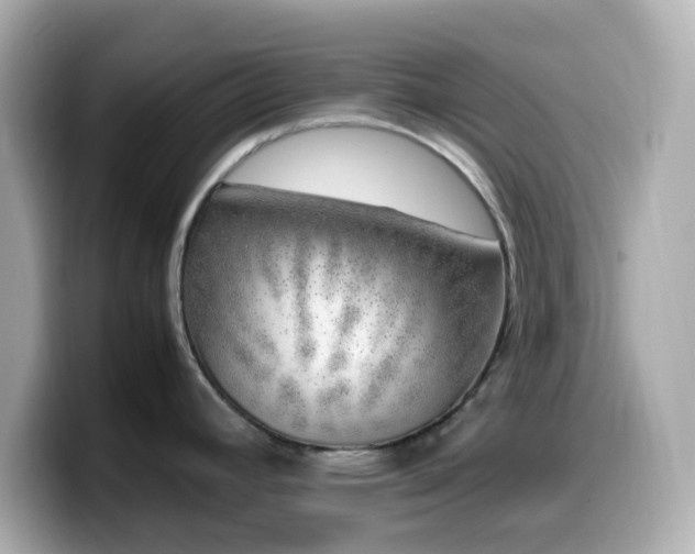 X0000099931392200805231221