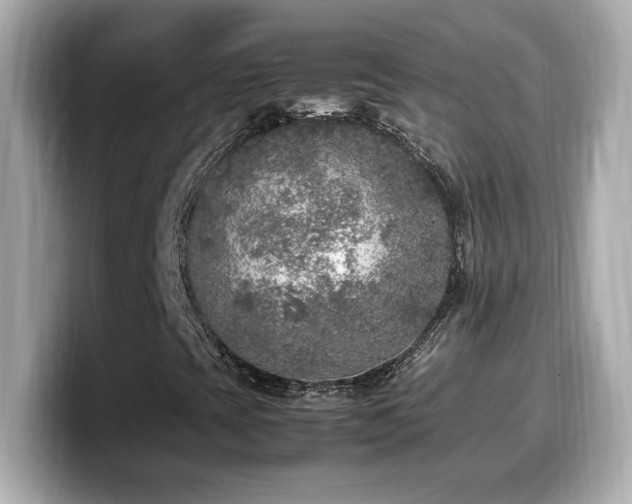X0000099931393200805231220
