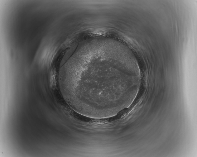 X0000099931394200805231220
