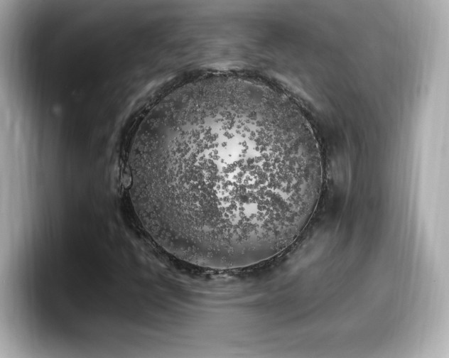X0000099931398200805231220
