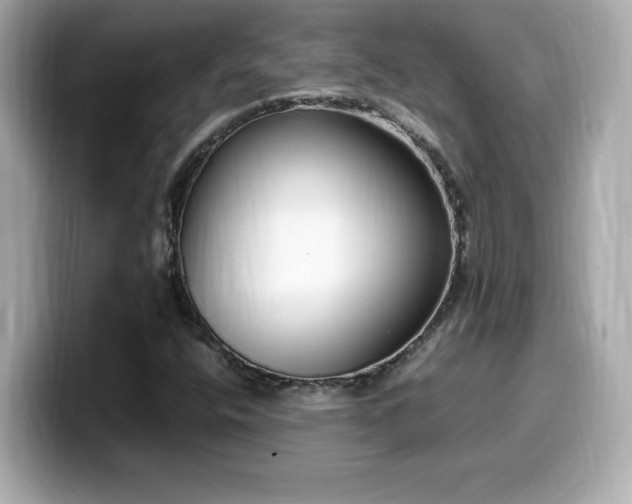 X0000099931400200805231220