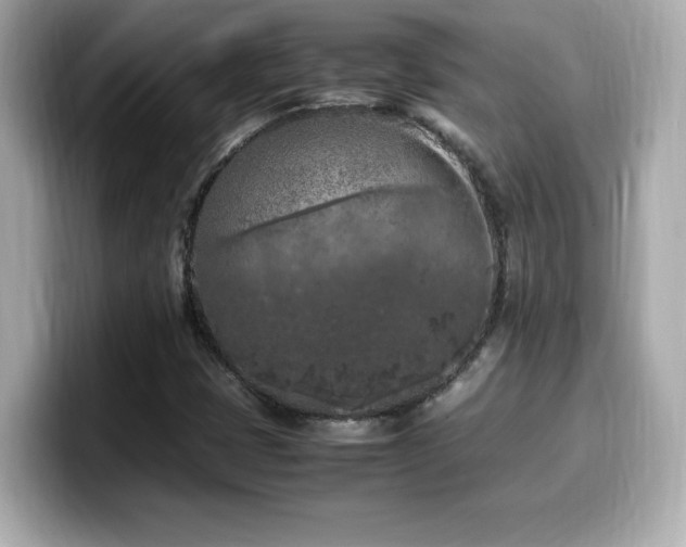 X0000099931401200805231220