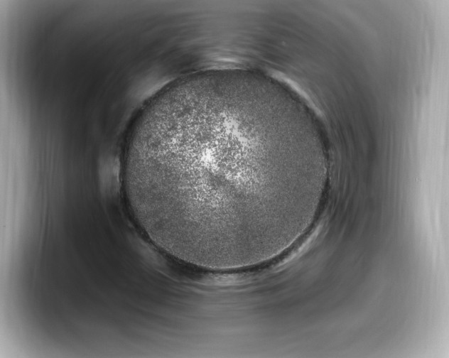 X0000099931402200805231220
