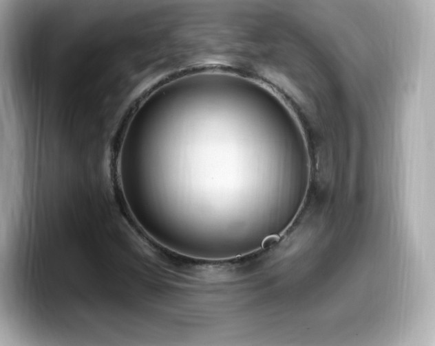 X0000099931404200805231220