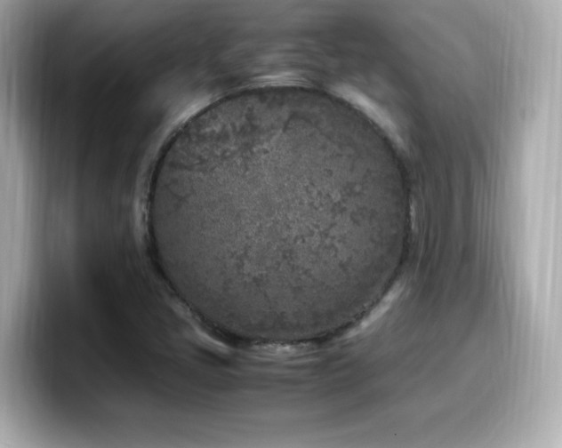 X0000099931405200805231220