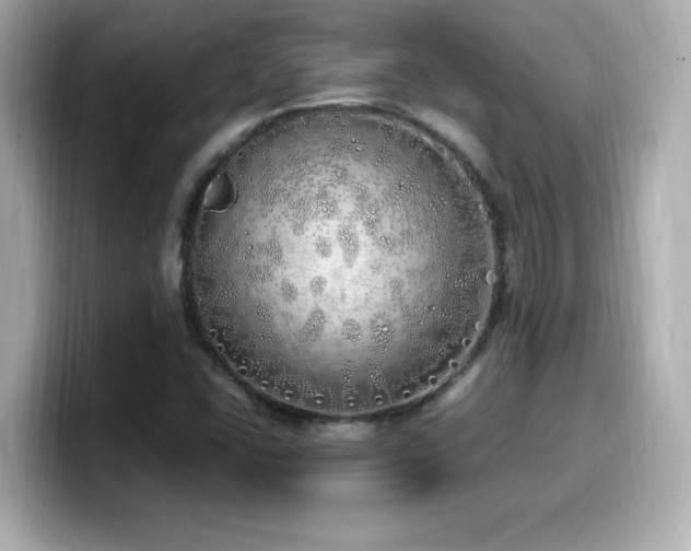 X0000099931406200805231220
