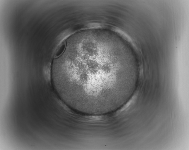 X0000099931409200805231220