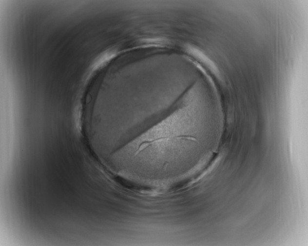 X0000099931411200805231220