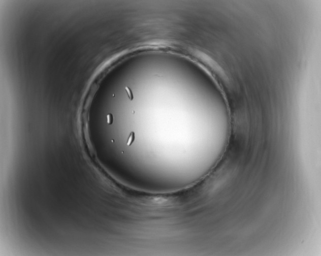X0000099931412200805231220