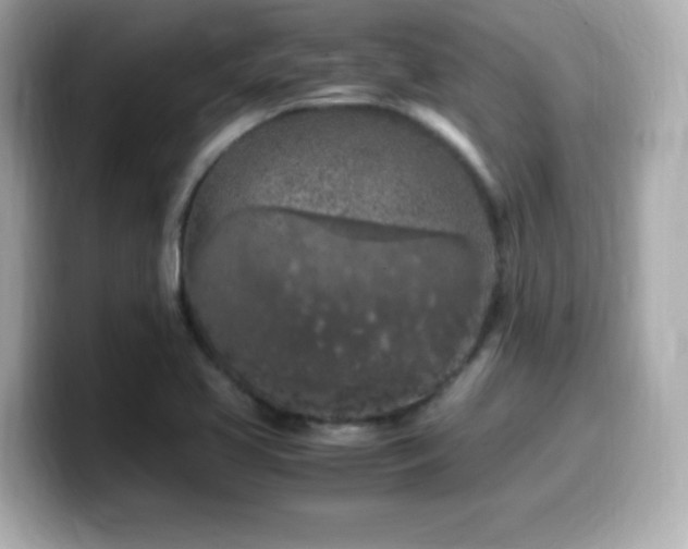 X0000099931413200805231220