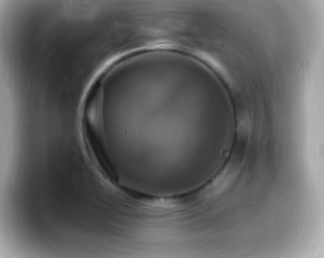 X0000099931414200805231220