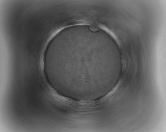 X0000099931415200805231220