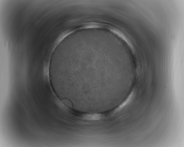X0000099931417200805231220