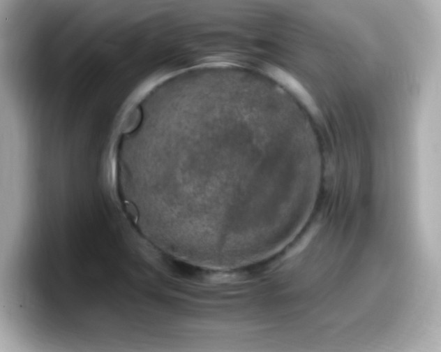 X0000099931419200805231221