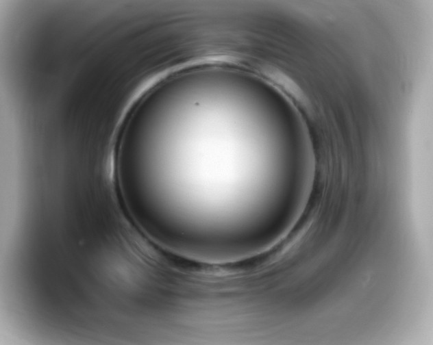 X0000099931420200805231221