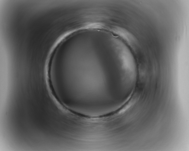 X0000099931422200805231221