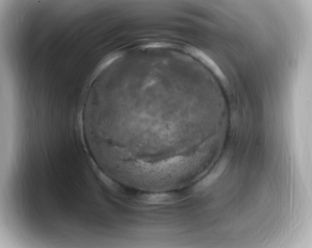 X0000099931425200805231221
