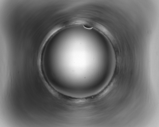 X0000099931426200805231221