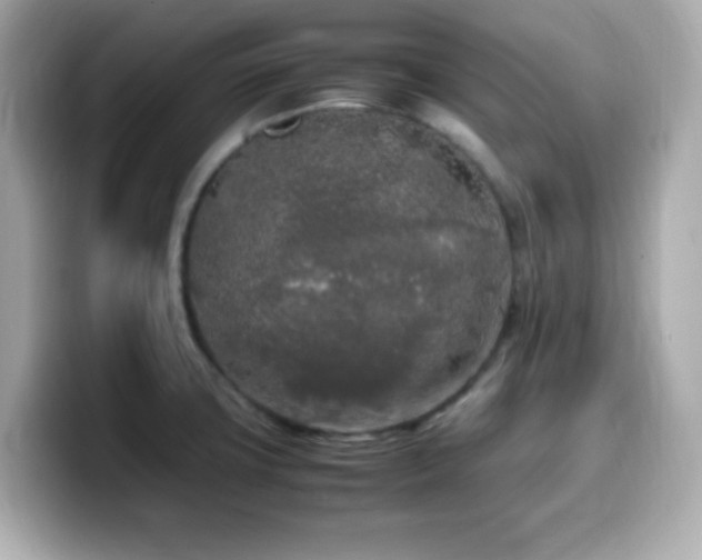 X0000099931427200805231221
