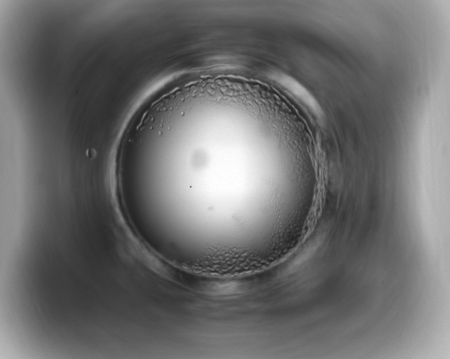 X0000099931431200805231221