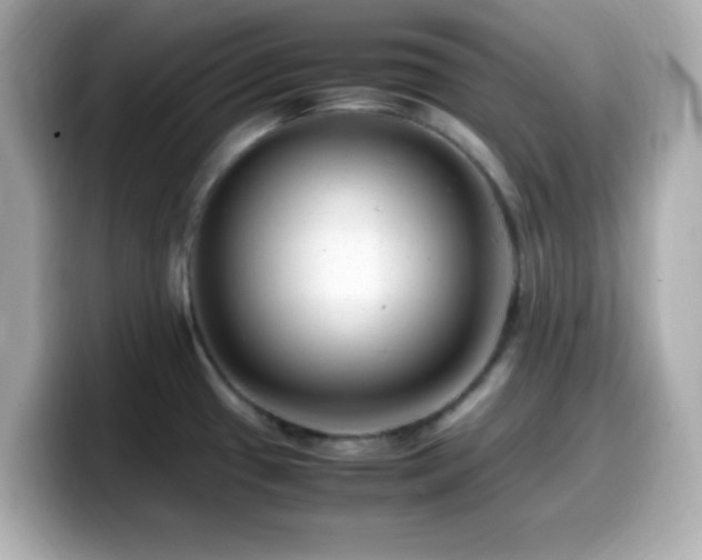 X0000099931433200805231221