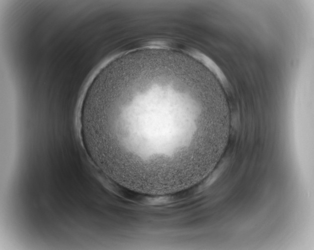 X0000099931435200805231221