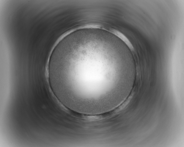 X0000099931436200805231221