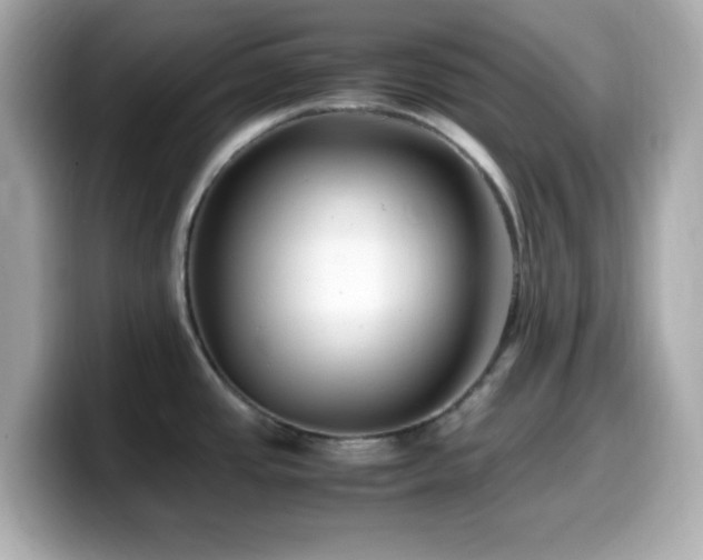 X0000099931437200805231221