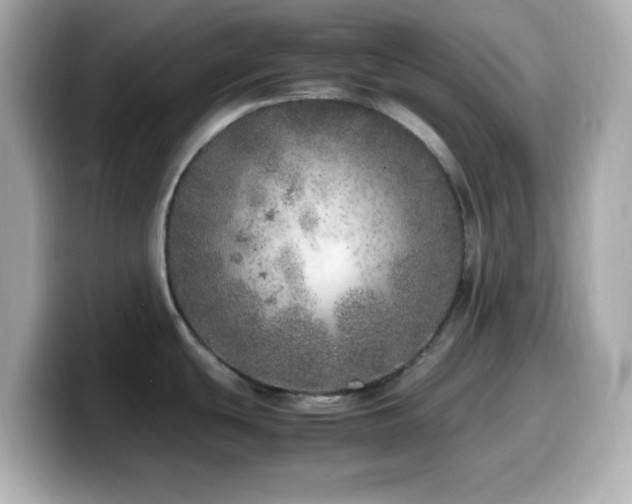X0000099931439200805231221