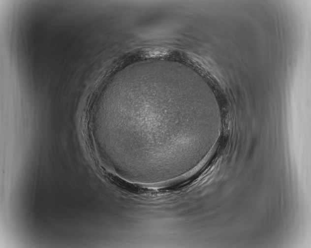 X0000099931441200805231220
