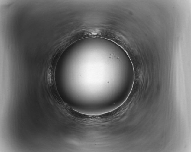 X0000099931442200805231220
