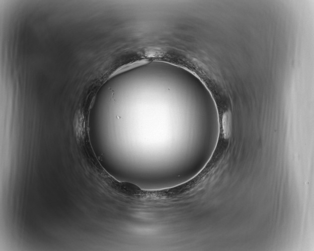 X0000099931443200805231220