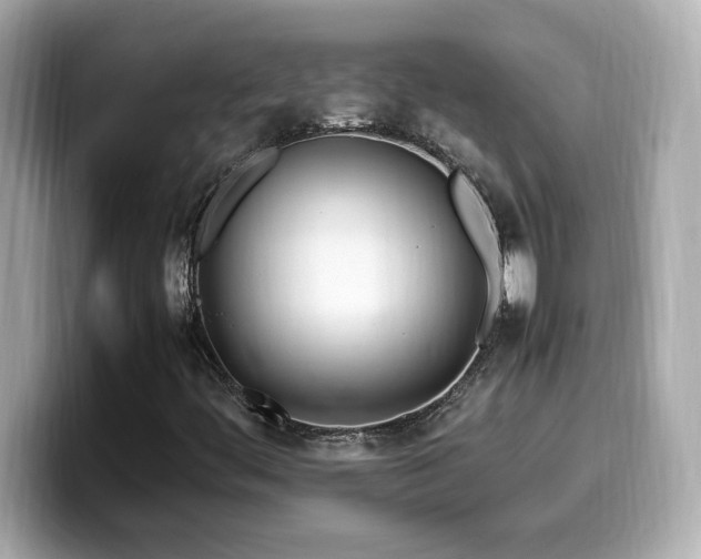 X0000099931444200805231220