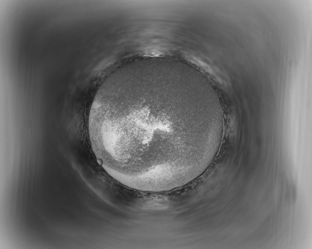 X0000099931446200805231220
