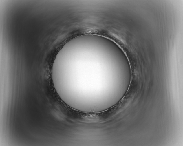 X0000099931447200805231220