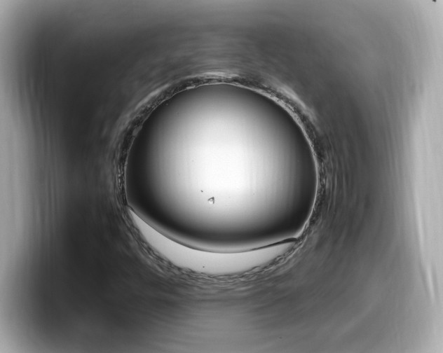 X0000099931448200805231220