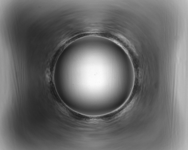 X0000099931449200805231220