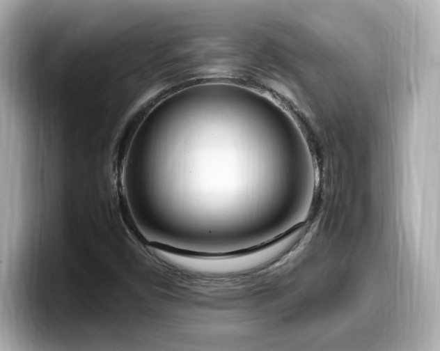X0000099931450200805231220