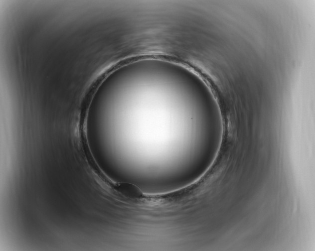 X0000099931452200805231220
