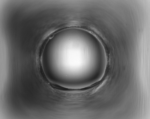 X0000099931453200805231220