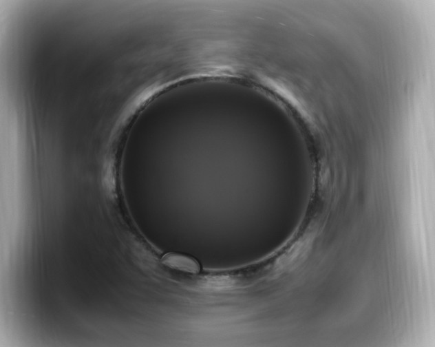 X0000099931455200805231220