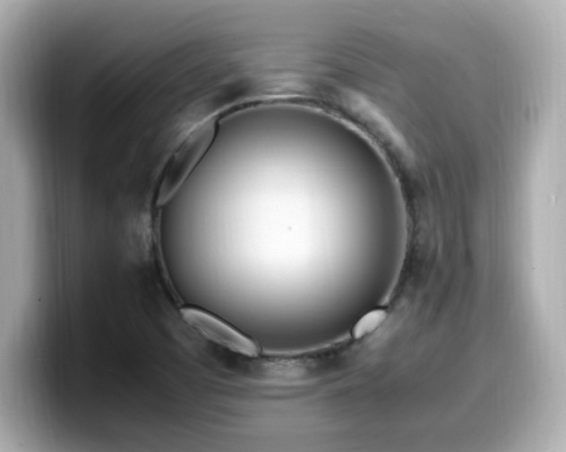 X0000099931457200805231220