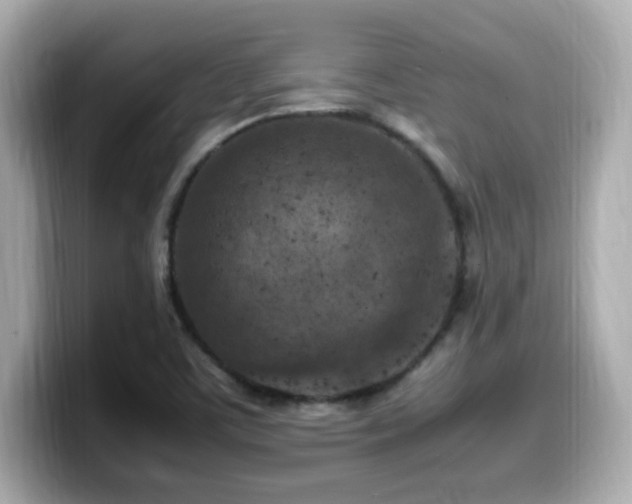 X0000099931459200805231220