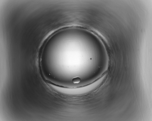 X0000099931460200805231220