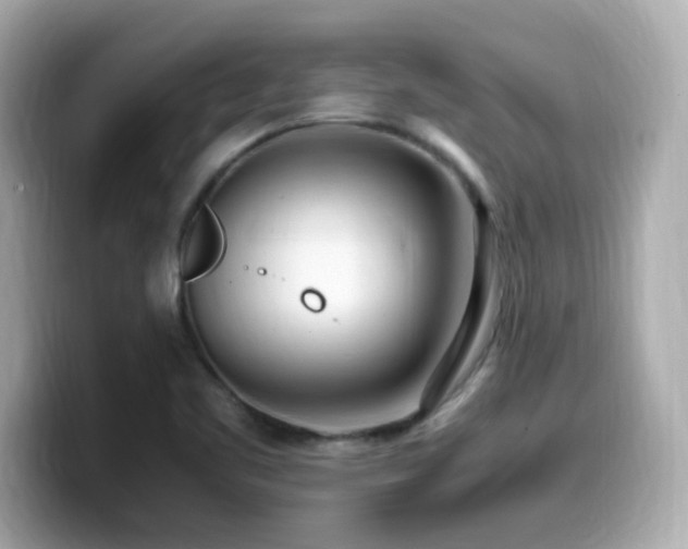 X0000099931461200805231220