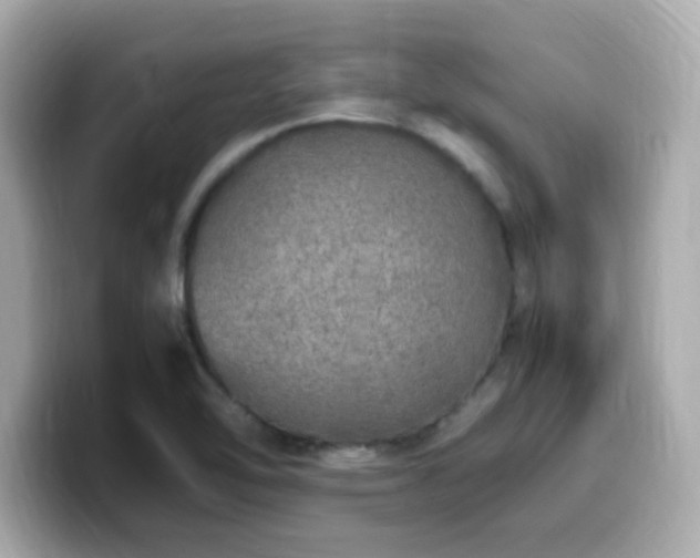 X0000099931462200805231220