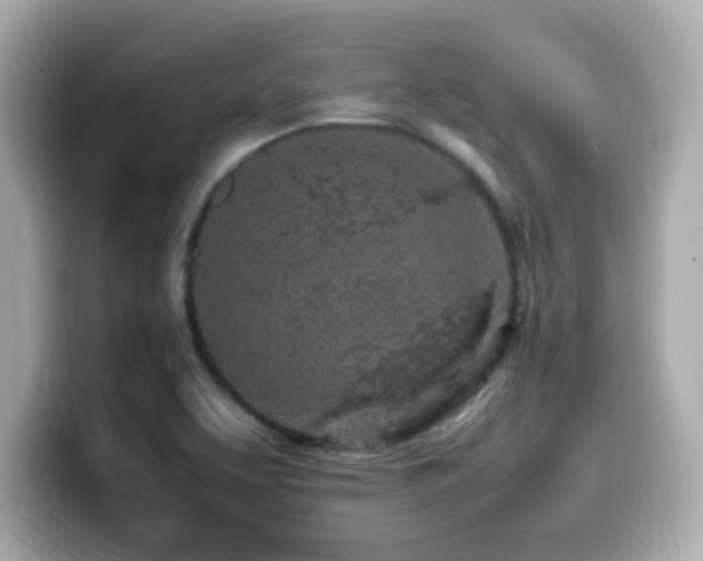 X0000099931463200805231220